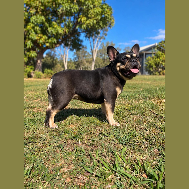 Photo of Lola