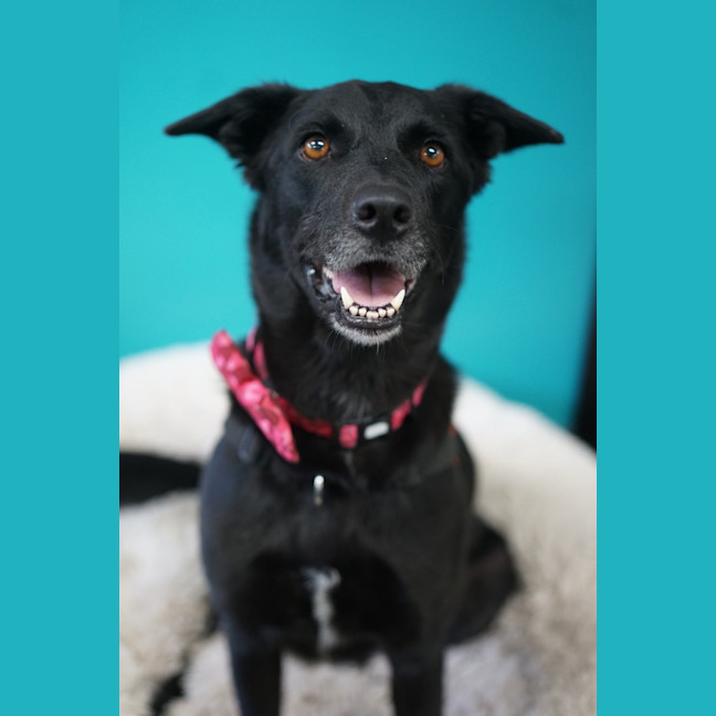 Photo of Marnie