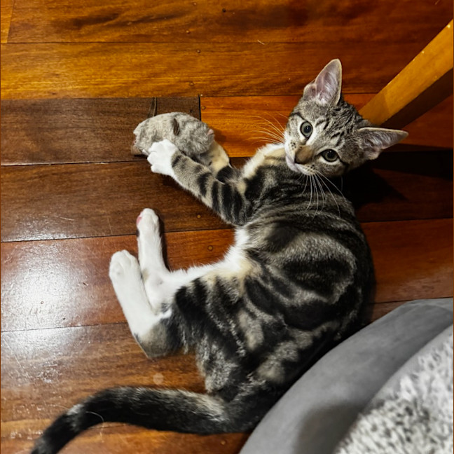 Photo of Princess Daisy
