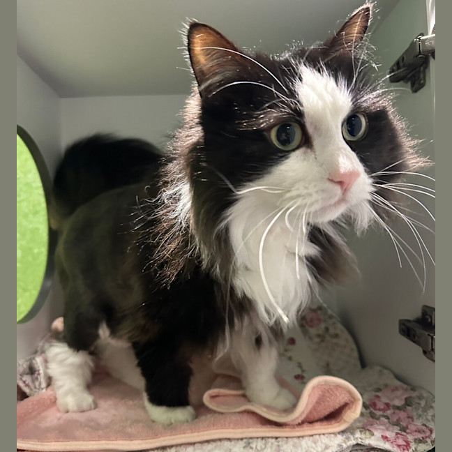 Photo of Maggie