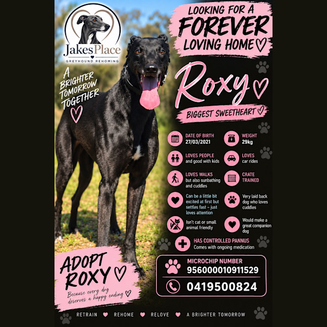 Photo of Roxy