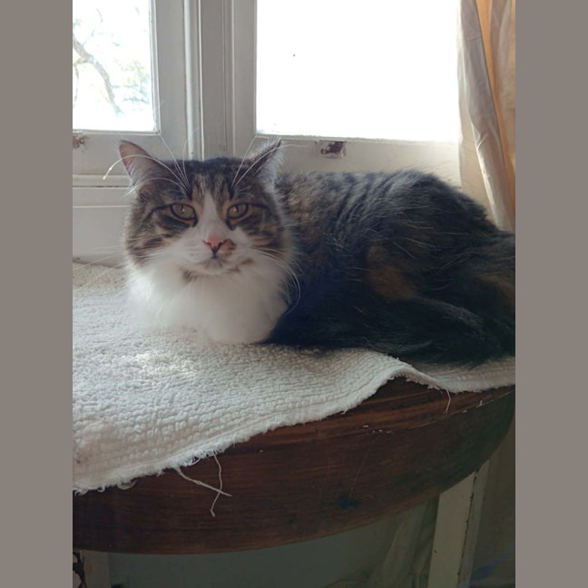 Photo of Ms. Ida Mae