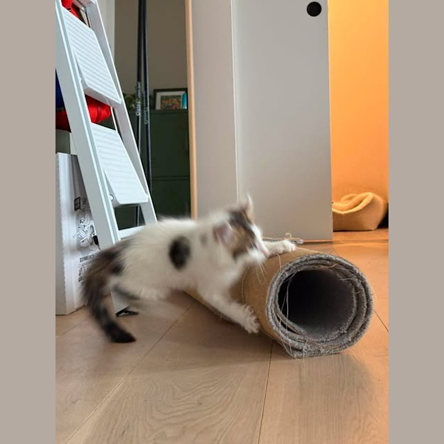 Photo of Milly