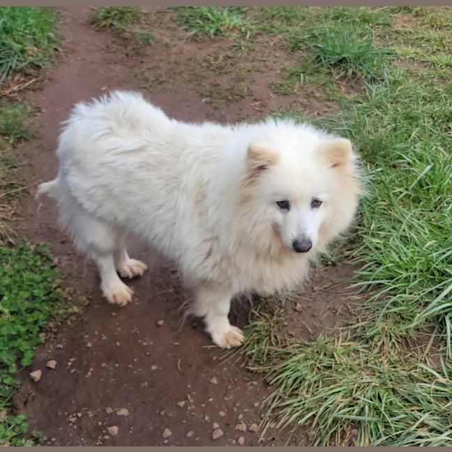 Photo of Bliss & Crystal