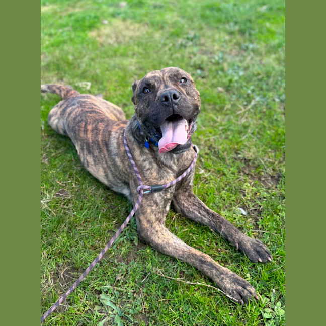 Photo of Tigger