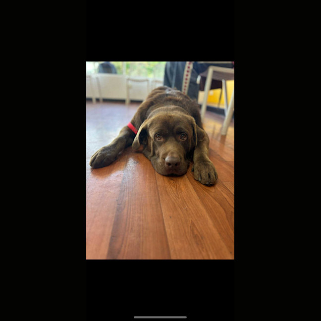 Photo of Freddy