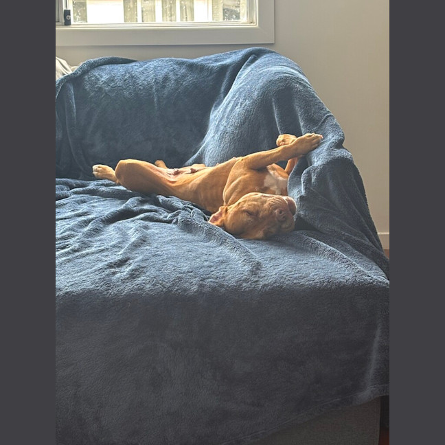 Photo of Nelly