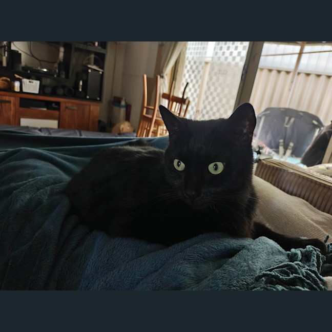 Photo of Charlie