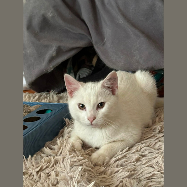 Photo of Rumi & Finn