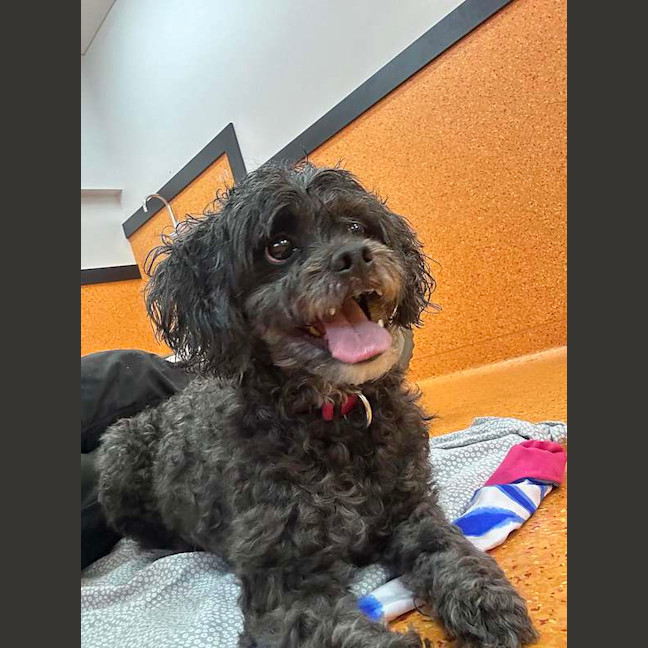 Photo of Edgar