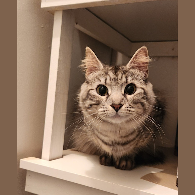 Photo of Sylvia