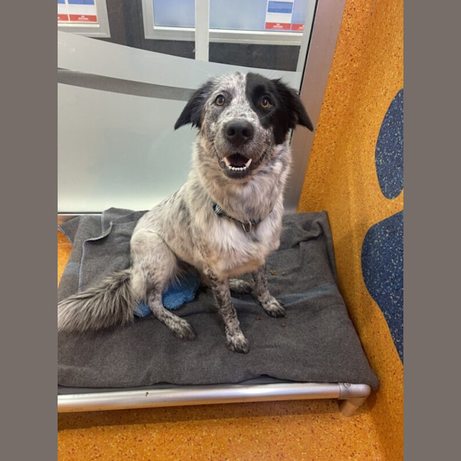 Photo of Delilah