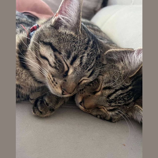 Photo of Tiga & Winnie 