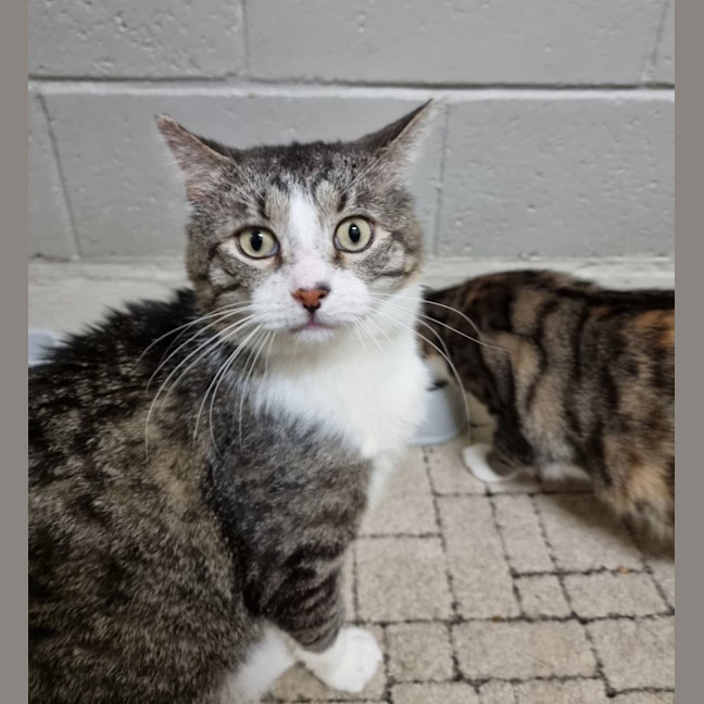 Photo of Kyro