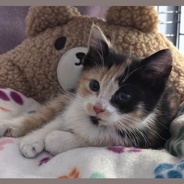 Photo of Wynter 🌺