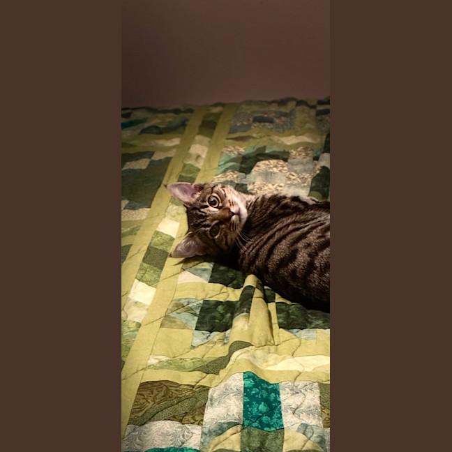 Photo of Essie