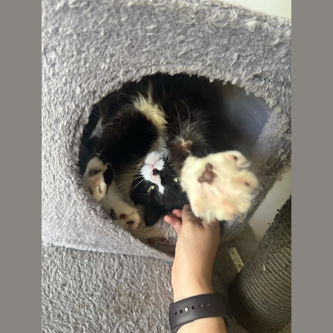 Photo of Maggie