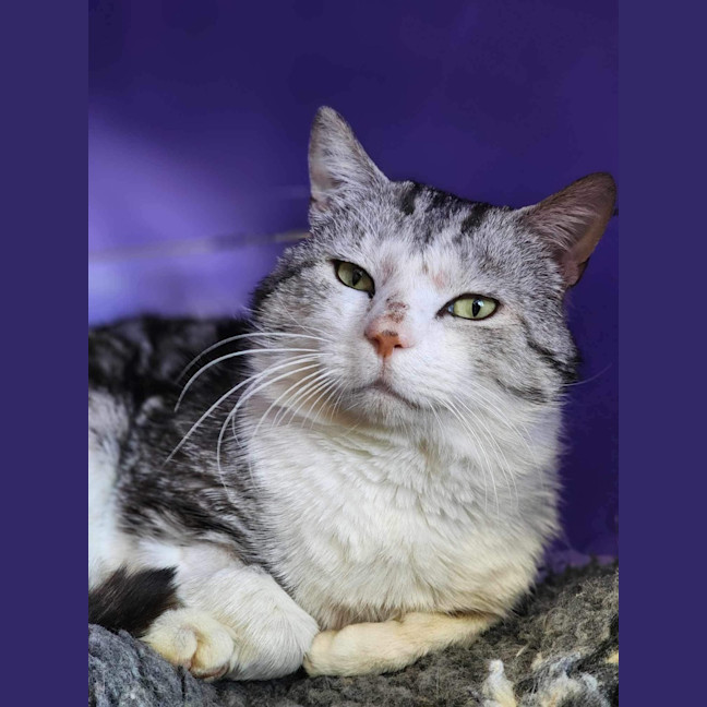 Photo of 🪁 Wally 5563 🪁