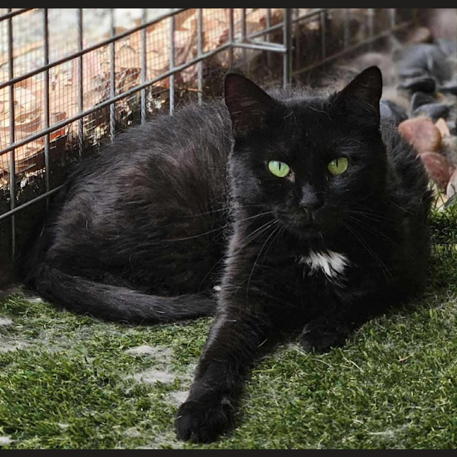 Photo of 5979   Hunter