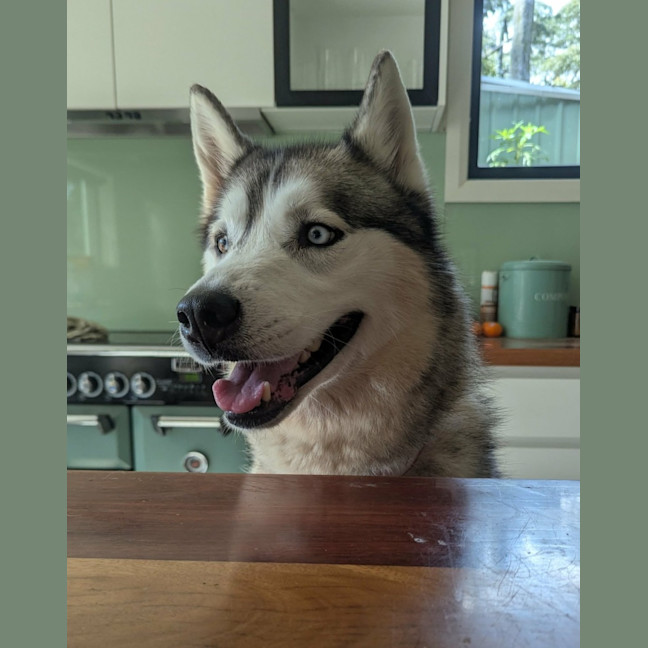 Photo of Luna