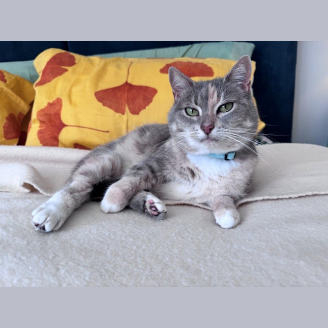 Photo of Susan Uffelman