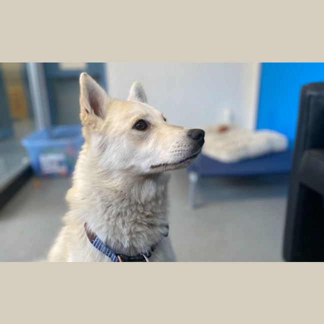 Photo of Tia