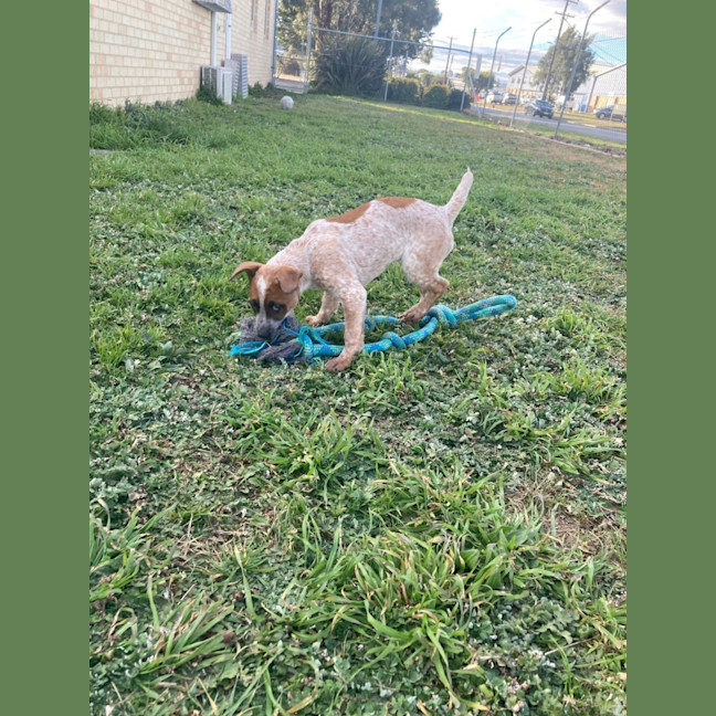 Photo of Patsy