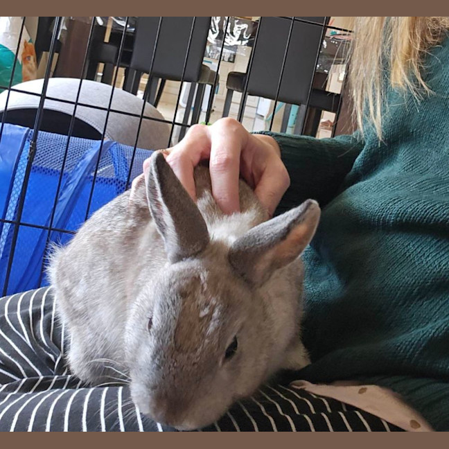 Photo of Jon Snow Jr And Robb Stark