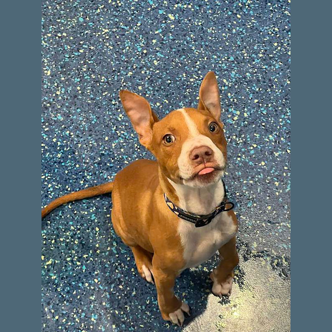 Photo of Hulk