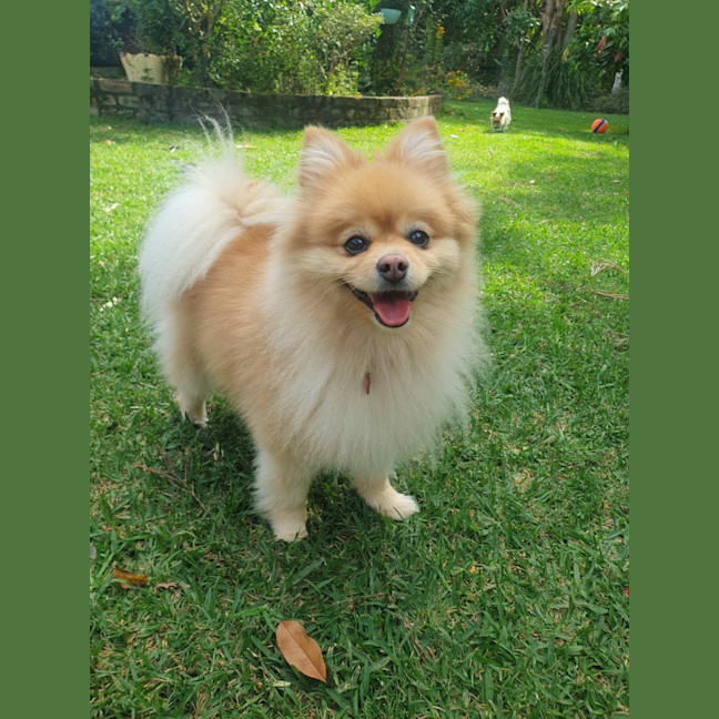 Photo of Grace