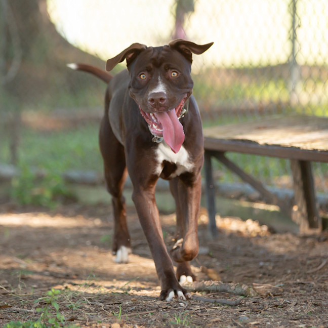 Photo of Molly