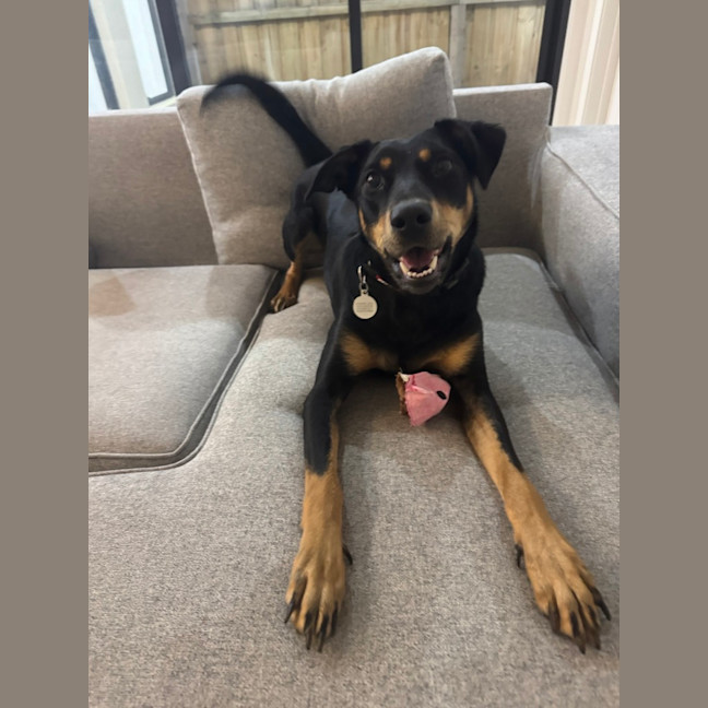 Photo of Ruby