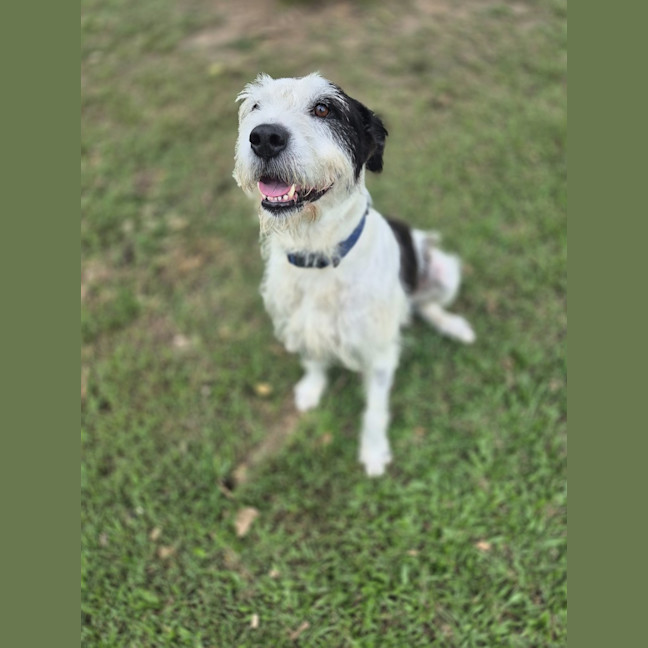 Photo of Marley