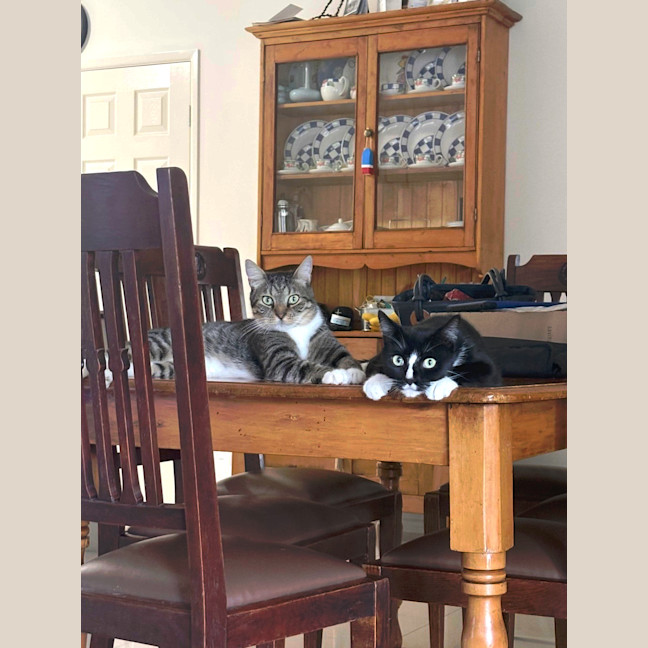 Photo of Smokie
