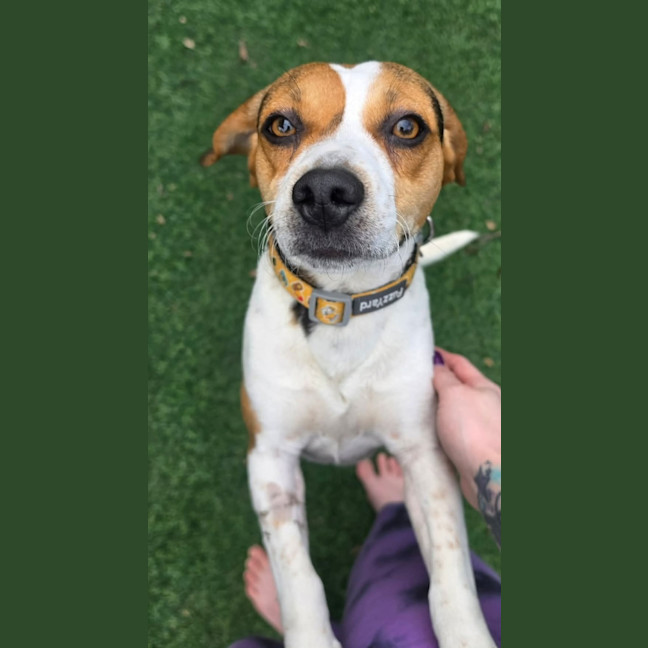 Photo of Burnie