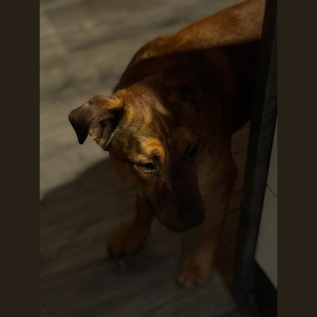 Photo of Lester