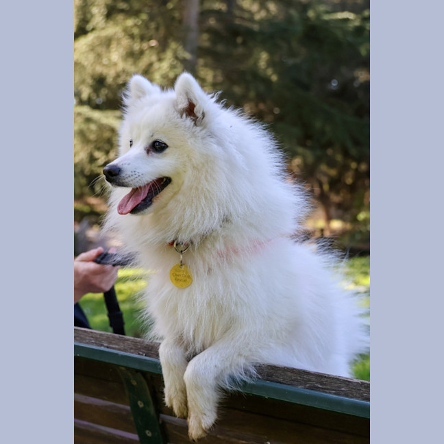 Photo of Tsuki