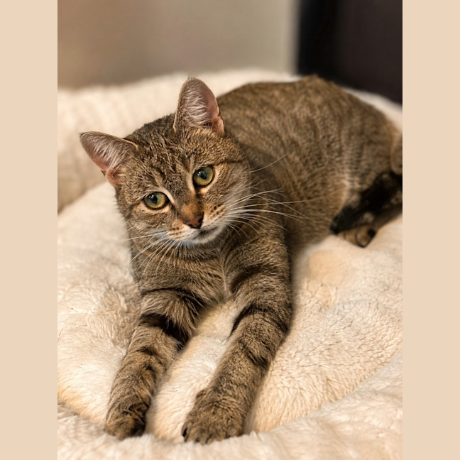 Photo of Mia