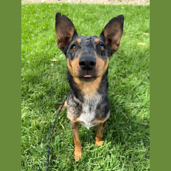Photo of Lola