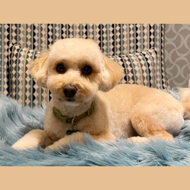 Photo of Molly