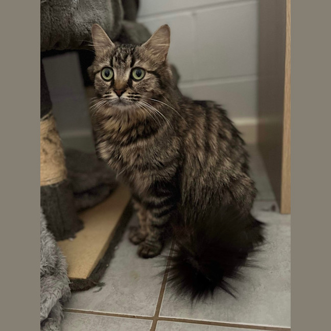 Photo of Nashi (Quinn)