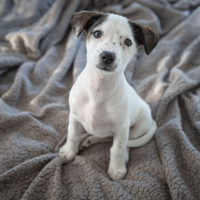 Photo of Wilma