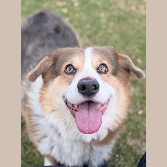 Photo of Duke