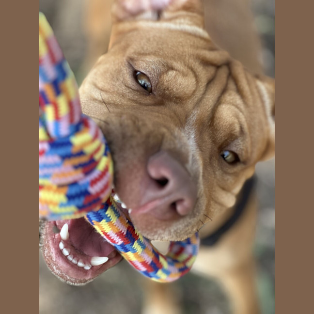 Photo of Ember