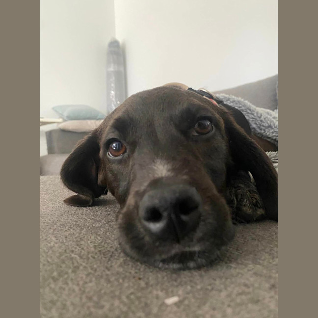 Photo of Echo