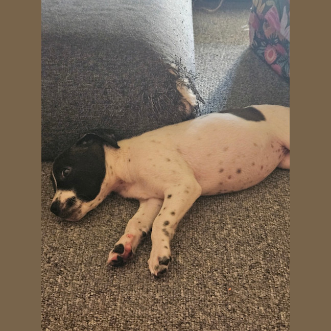 Photo of Dorothy Anne