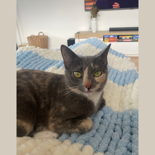 Photo of Macey