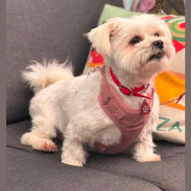 Photo of Sophie