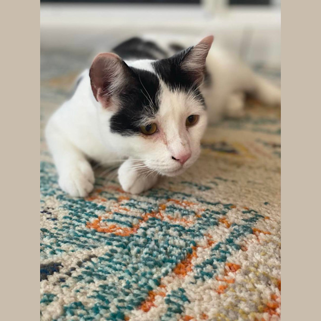 Photo of Bonnie