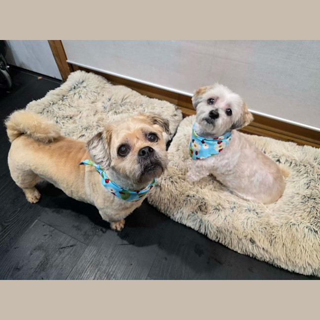 Photo of Charlie And Snooka